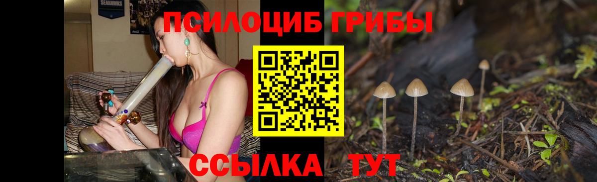 Галлюциногенные грибы мицелий  Псилоцибиновые грибы Magic Shrooms  Сертолово  Вход с VPN 